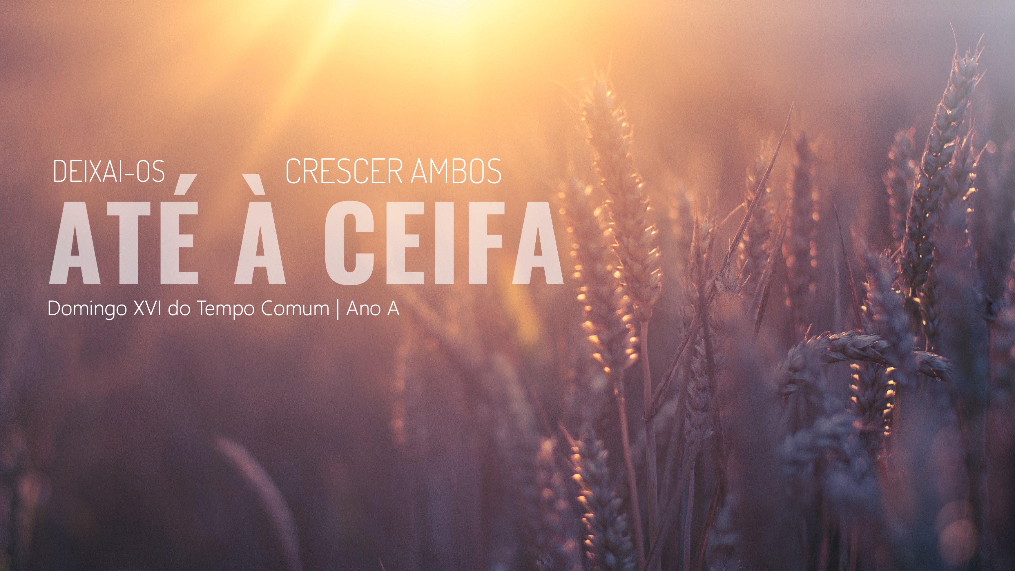 O Canto na Liturgia